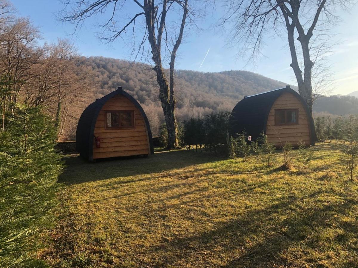 Pyrenees Emotions, Eco-Responsables, Nature, Sports Aventures Malvezie Exterior photo